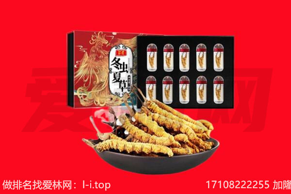 温州泰顺县回收虫草.jpg